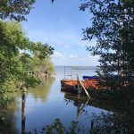 Steinhuder Meer